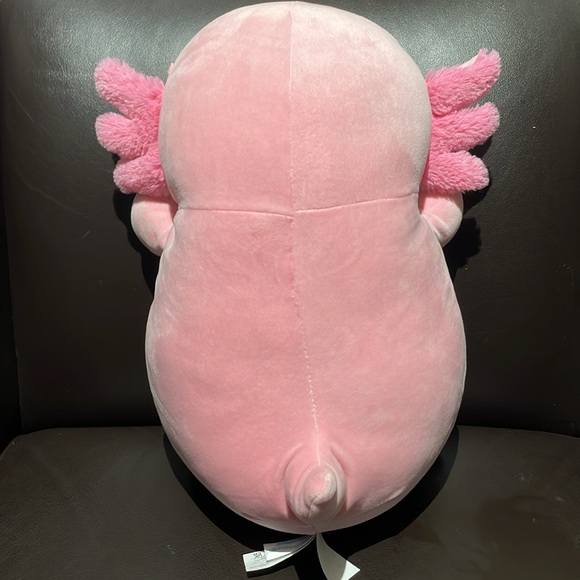 Squishmallow Archie the Axolotl - Picture 3 of 5